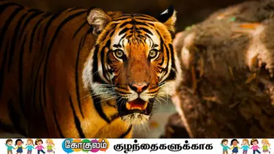 தன் எல்லையை நிர்ணயம் செய்யும் புலி... எப்படி?