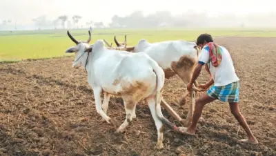 அமெரிக்காவில் கைநிறைய சம்பளம். ஆனாலும் வேலையை உதறிய இந்தியர்.! விவசாயத்தில் இறங்கி ரூ.600 கோடி சாம்ராஜ்ஜியம் உருவாக்கிய அதிரடி கதை.! இன்று மாதம் ரூ.60 கோடி லாபம் என வெளியான தகவல்.!