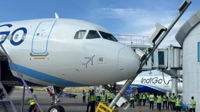 IndiGo Flight Hits Pole at Srinagar Airport (VIDEO)