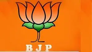बीड जिल्हा भारतीय जनता युवा मोर्चाची टीम जाहीर