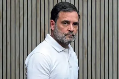 వాళ్లకు ఓటర్లంటే భయం లేదు.. రాహుల్గాంధీ