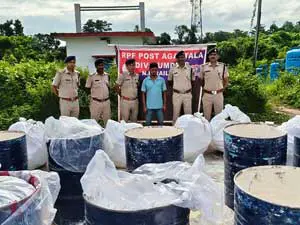 DRI seizes banned cough syrup worth Rs 6.54 crore from goods train from Bihar in Agartala; one held