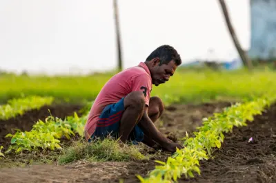 Soil biological health - a blind-spot in Indian agriculture: Experts call for urgent attention