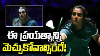ప్రపంచ బ్యాడ్మింటన్ ఛాంపియన్షిప్: పావురాలు.. కోతుల బెడదకు చెక్ పెట్టేలా.. !