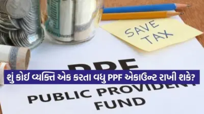 શું તમારું પણ PPF એકાઉન્ટ છે? ભૂલથી પણ ન કરતા આ '6 ભૂલો'