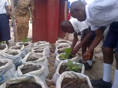 Tanzanian schools embrace green classrooms with climate-smart lessons
