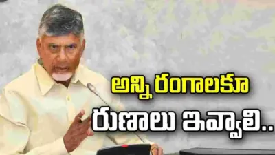 రుణాల మంజూరుపై బ్యాంకులు దృష్టి పెట్టాలి: సీఎం చంద్రబాబు