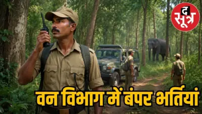 छत्तीसगढ़ वनरक्षक भर्ती: 1484 पदों के लिए 13 दिसंबर को होगी परीक्षा