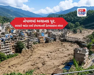 નેપાળમાં પરિવારજન ફસાયા છે?: ગુજરાત સરકારે જાહેર કર્યા ઈમરજન્સી હેલ્પલાઇન નંબર, તાત્કાલિક આ નંબરો પર કરો સંપર્ક