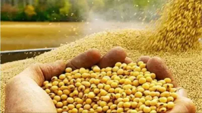 ચોમાસું સોયાબીનની વૈજ્ઞાનિક ખેતી પધ્ધતિ