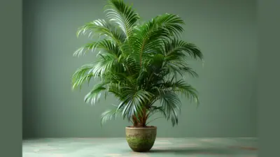 5 Indoor Plants That Keep Your Home Cool Naturally This Summer
