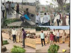 પોરબંદર મહાનગરપાલિકાએ 7 ધંધાર્થીઓ સામે નોંધાવી એફ.આઇ.આર.