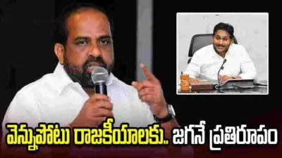 ఇతరులకు నీతులు చెప్పే ముందు చరిత్ర చూసుకోవాలి జగన్: మంత్రి సత్యకుమార్ యాదవ్