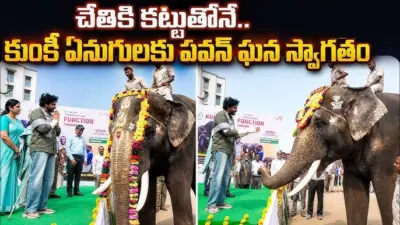 కుంకీ ఏనుగులకు స్వాగతం పలికిన పవన్