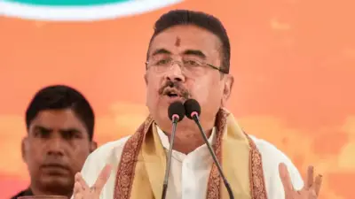 টুলুর 'যকের ধনের' সন্ধান, পুলিশের ভূয়সী প্রশংসা করলেন মুখ্যমন্ত্রী