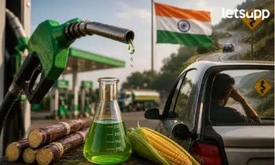 ब्राझील मॉडेल स्विकारलं पण 'त्या' गोष्टींचं काय? इथेनॉलबाबत भारताच नेमंक चुकतयं काय?