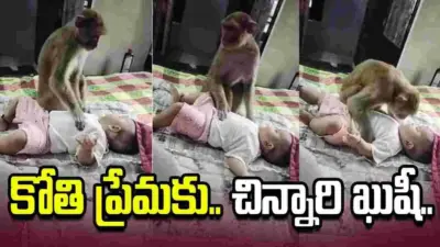 చిన్నారిని కోతి ఎలా ఆడించిందో చూశారా?.. వీడియో వైరల్