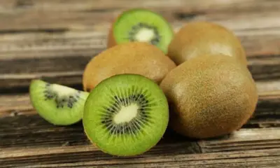 Kiwi Fruit: రోజూ ఉదయాన్నే ఒక కీవి పండు తింటే ఏమవుతుందో తెలుసా? మైండ్ బ్లోయింగ్ బెనిఫిట్స్!