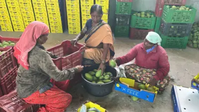 వినూత్న చర్యలతో సెర్ఫ్.. మహిళా రైతులకు గ్లోబల్ మార్కెట్