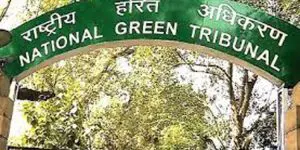 NGT forms panel to probe City MCC norm 'violations'