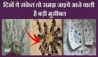 दिखें ये संकेत तो समझ जाइये आने वाली है बड़ी मुसीबत