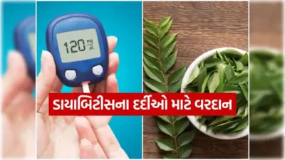 સવારે ખાલી પેટે આ 2 પાંદડા ચાવવાનું શરૂ કરો, ડાયાબિટીસ અને બ્લડ સુગર કંટ્રોલમાં મેળવો અદભુત પરિણામ