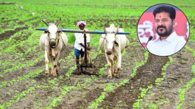 Telangana Govt: ఎకరానికి రూ.5 వేలు.. తెలంగాణ సర్కార్ కొత్త స్కీమ్.. రైతన్నలకు సూపర్ న్యూస్