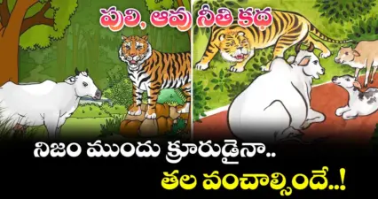 పులి, ఆవు నీతి కథ: నిజం ముందు క్రూరుడైనా తల వంచాల్సిందే..!