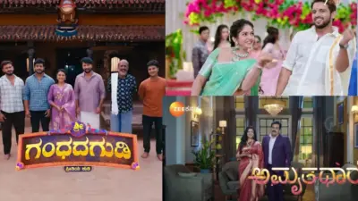 Kannada serial TRP: ಕನ್ನಡ ಕಿರುತೆರೆಯ ಟಾಪ್ 5 ಸೀರಿಯಲ್ಗಳು ಯಾವುವು?