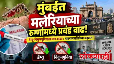 मुंबईत मलेरियाच्या रुग्णांमध्ये प्रचंड वाढ!
