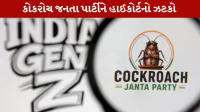 હાઈકોર્ટનો કોકરોચ જનતા પાર્ટીને ઝટકો, વિવાદાસ્પદ પોસ્ટના કારણે X એકાઉન્ટ ચાલુ કરવાનો ઇનકાર