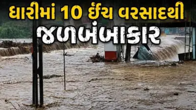Amreli Rain: અમરેલીના ધારી પંથકમાં બારે મેઘ ખાંગા, 10 ઈંચ વરસાદથી જળબંબાકાર