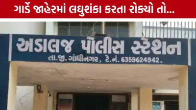 ગાંધીનગરમાં ગાર્ડ પર હુમલો: જાહેરમાં લઘુશંકા કરતા યુવકને રોક્યો તો ટોળું આવ્યું, પોલીસને પણ ગેરમાર્ગે દોરી