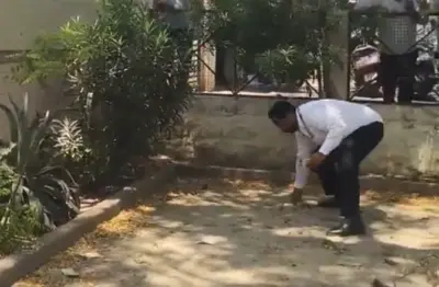 یوپی: بلند شہر عدالت کے احاطے میں بندر نے ''نوٹوں کی بارش'' کردی
