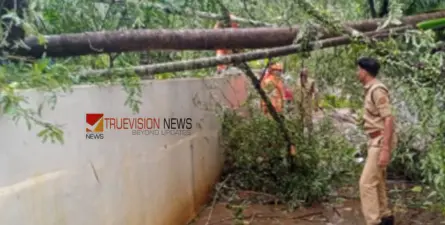 നാദാപുരത്ത് ശക്തമായ കാറ്റ്; വ്യാപക നാശനഷ്ടം, കര്ഷകര്ക്ക് ലക്ഷങ്ങളുടെ നഷ്ടം