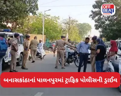 બનાસકાંઠાનાં પાલનપુરમાં ટ્રાફિક પોલીસની ડ્રાઈવ: સરકારી કર્મીઓને પણ ફટકારાયો દંડ