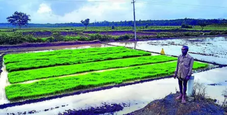 ಶಿಕಾರಿಪುರ | ಅಂಜನಾಪುರ ಜಲಾಶಯ ಭರ್ತಿ, ರೈತರ ಮೊಗದಲ್ಲಿ ಮಂದಹಾಸ