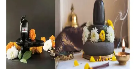 श्रावणात घरी आणा या 3 पवित्र वस्तू; महादेवांची कृपा, सुख-समृद्धी आणि सकारात्मक ऊर्जा मिळेल अशी मान्यता
