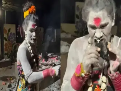 जलती चिता से मुर्दे का मांस निकालकर खा गई किन्नर अघोरी काली, बोली आप भी बचकर रहना