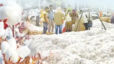 ఏపీలో పత్తి కొనుగోళ్లకు కొత్త విధానం.. రైతులకు ఇవి తప్పనిసరి