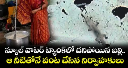 స్కూల్ వాటర్ ట్యాంక్లో చనిపోయిన బల్లి.. ఆ నీటితోనే వంట చేసిన నిర్వాహకులు