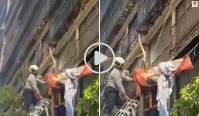 Mumbai : १० व्या मजल्यावरून पडूनही तरुणी बचावली; भांडुप पश्चिम येथील घटना, VIDEO