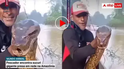 Video: मछली पकड़ने के लिए फेंका था जाल, फंस गया एनाकोंडा- वायरल वीडियो देख कांप उठेगी रूह