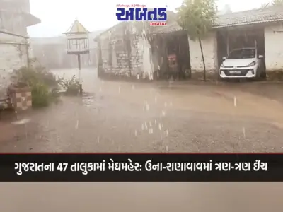 ગુજરાતના 47 તાલુકામાં મેઘમહેર: ઉના-રાણાવાવમાં ત્રણ-ત્રણ ઈંચ