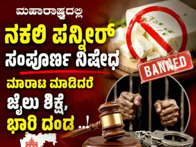 ಮಹಾರಾಷ್ಟ್ರದಲ್ಲಿ ನಕಲಿ ಪನ್ನೀರ್ ಸಂಪೂರ್ಣ ನಿಷೇಧ : ಮಾರಾಟ ಮಾಡಿದರೆ ಜೈಲು ಶಿಕ್ಷೆ,ಭಾರಿ ದಂಡ - vishwanews24
