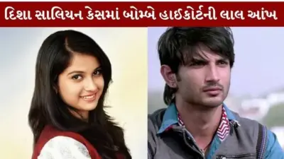 દિશા સાલિયન કેસમાં પોલીસ તપાસ સામે બોમ્બે હાઈકોર્ટના તીખા પ્રશ્નો; રાજ્ય સરકારને આપી નોટિસ