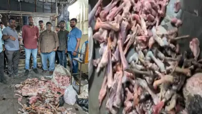 SHOCKING : ಮೇಕೆ ಮಾಂಸದಲ್ಲಿ ಎಮ್ಮೆ ಮಾಂಸ ಬೆರೆಸಿ ಹೋಟೆಲ್ ಗಳಿಗೆ ಪೂರೈಕೆ : ಆಘಾತಕಾರಿ ವಿಡಿಯೋ ವೈರಲ್ |WATCH VIDEO