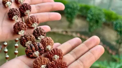 എല്ലാ ഗ്രഹദോഷങ്ങളും മാറാൻ ധരിക്കേണ്ട രുദ്രാക്ഷം, അണിയുന്നവര്ക്ക് ഐശ്വര്യവും സമ്പത്തും ലഭിക്കും