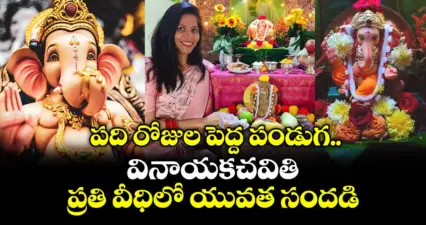 పది రోజుల పెద్ద పండుగ.. వినాయకచవితి.. ప్రతి వీధిలో యువత సందడి