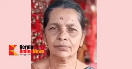 മാങ്ങ പറിക്കുന്നതിനിടയില് വീട്ടമ്മയ്ക്ക് ഷോക്കേറ്റ് ദാരുണാന്ത്യം